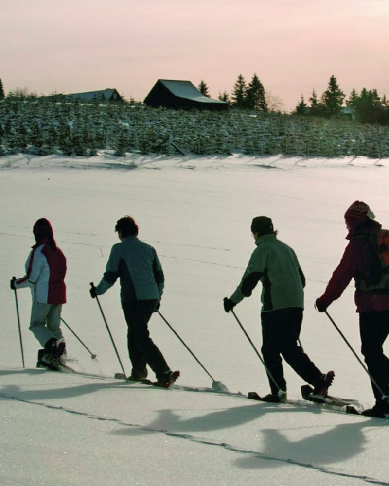 Winter im Hochsauerland