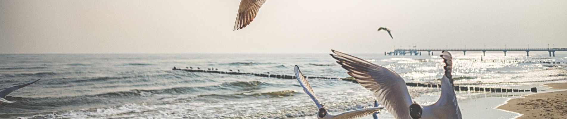 Reetland am Meer - FAQ