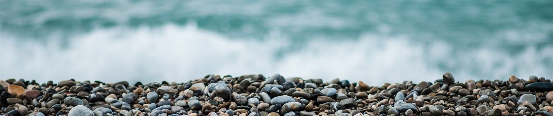 Reetland am Meer - Kontakt