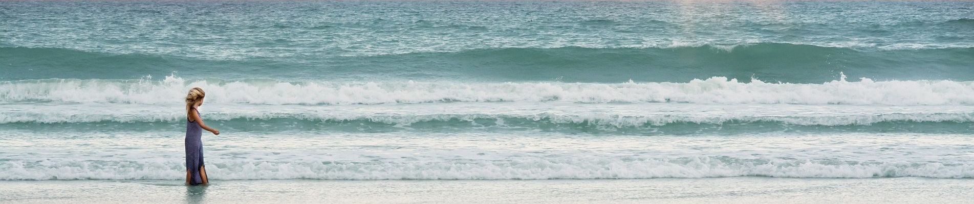 Reetland am Meer - Arrangements