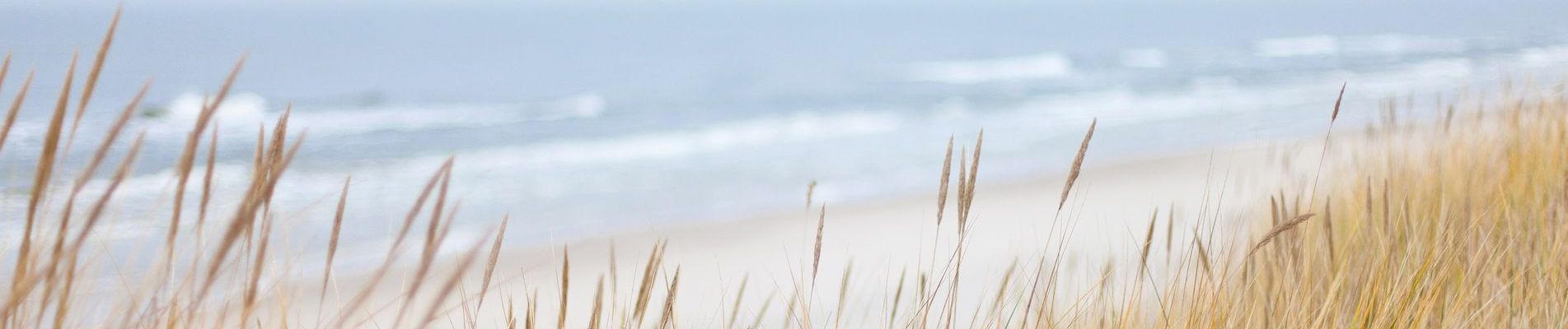 Reetland am Meer - Eigentümer