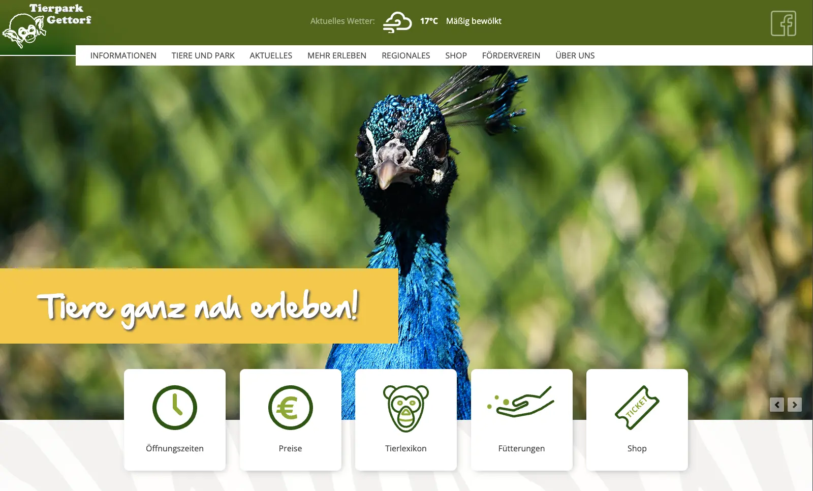 Screenshot Tierpark Gettorf