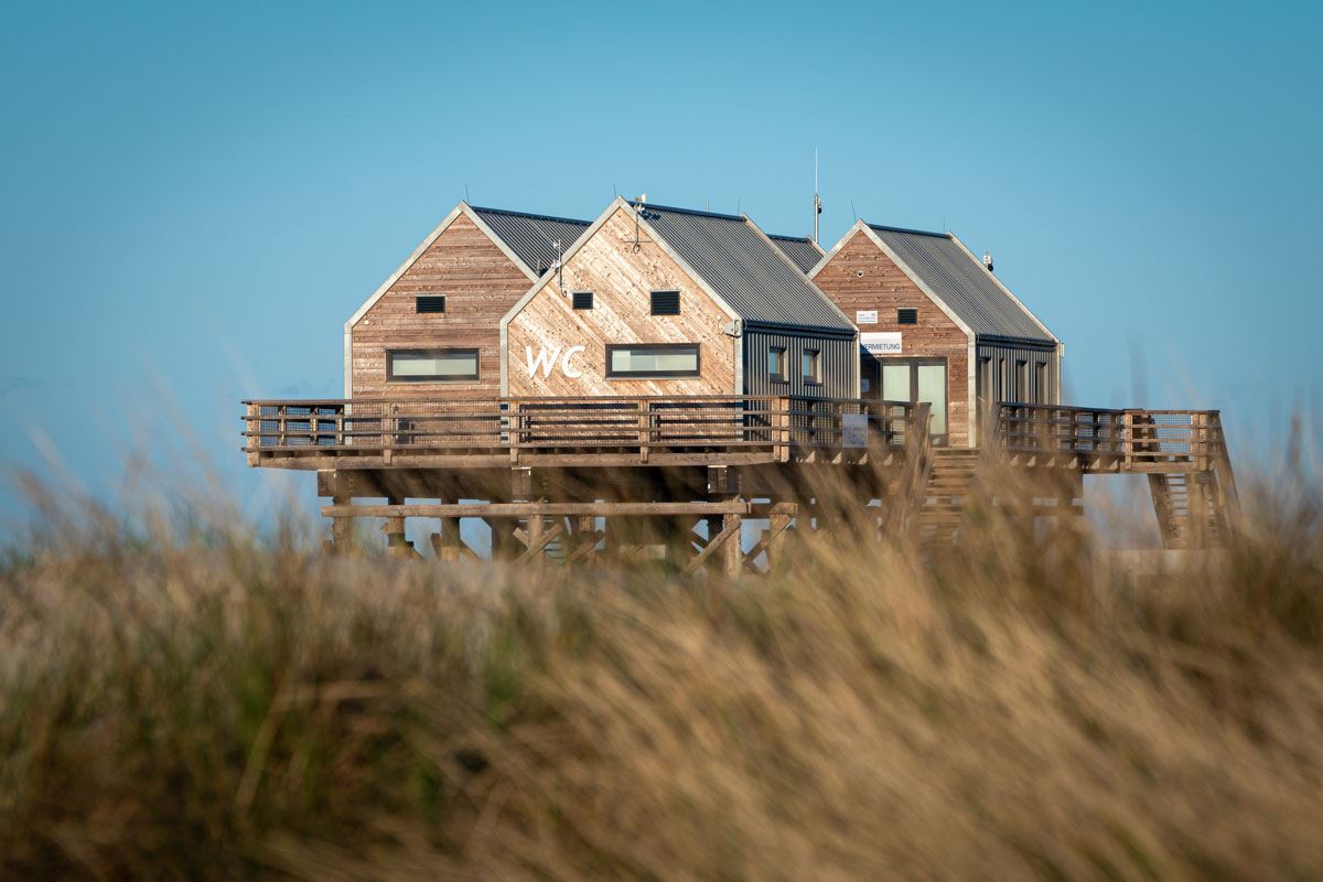 Dünen Gras Häusschen Nordsee