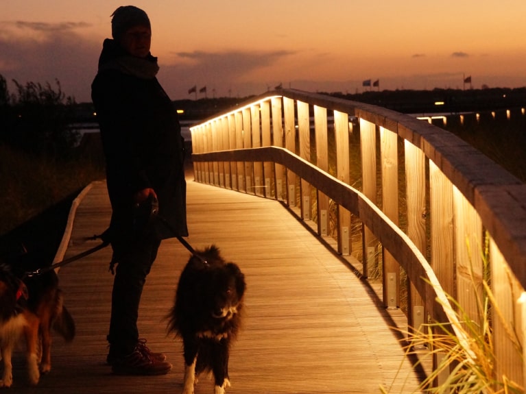 Strandwalk mit Hund Abendstimmung
