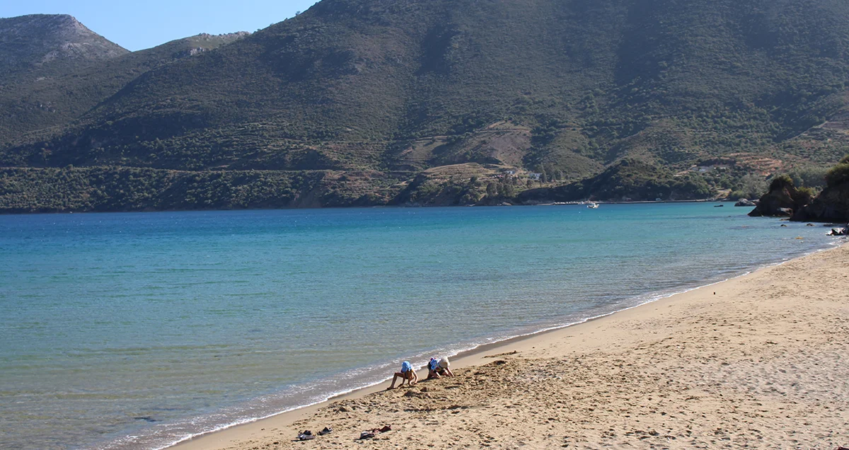 Two children are playing at the beach