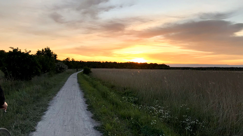 Boddenradweg