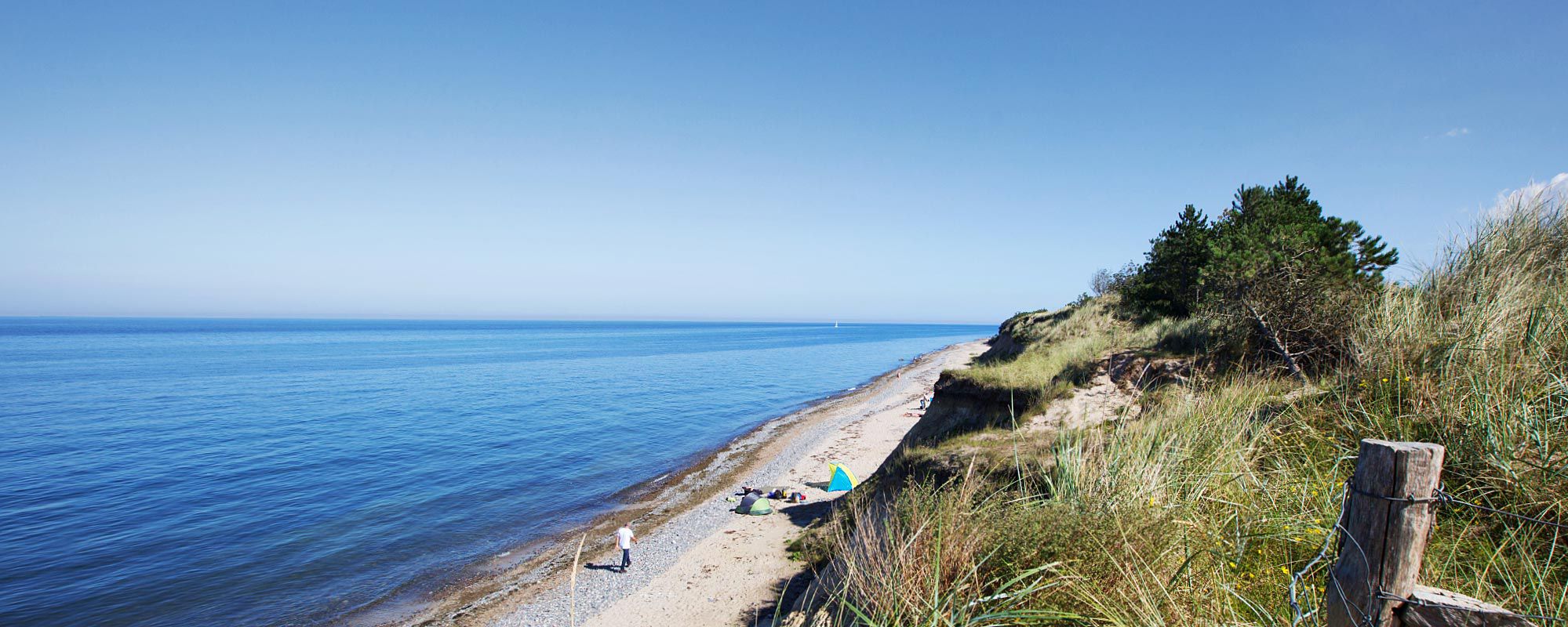 Reetland am Meer