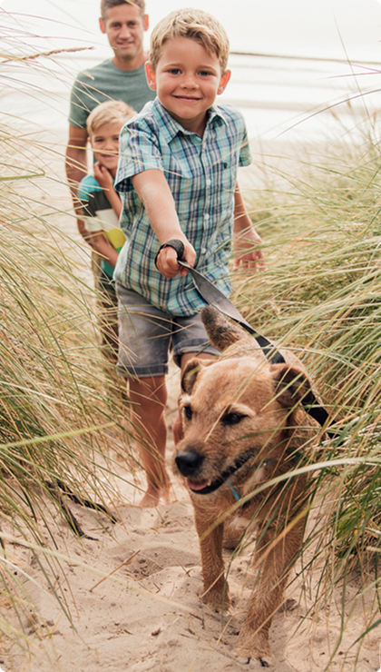 Urlaub mit Hund