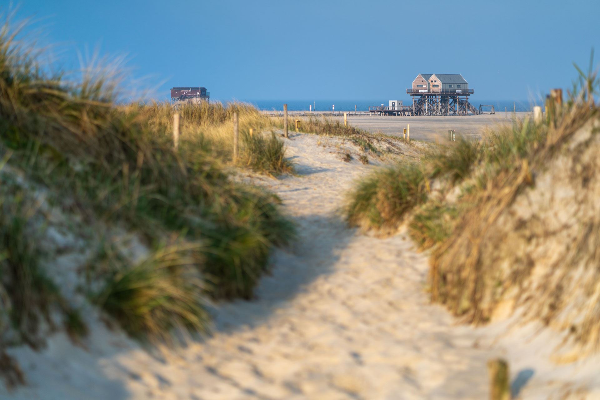 Dünen Sandstrand Nordsee stpeterording