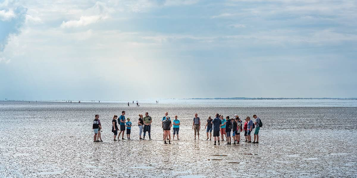 Wattwanderung Nordsee Stpeterording Tönning