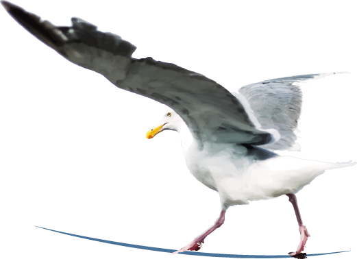 Wir haben die Bestpreis-Garantie