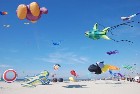 Drachenwiese in Dornumersiel