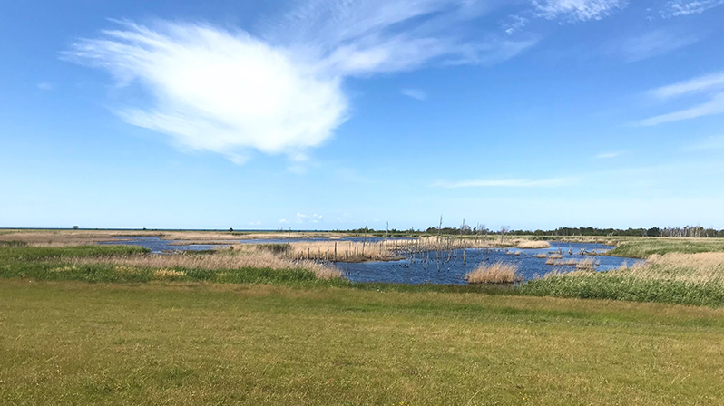 Radweg Richtung Pramort/Hohe Düne