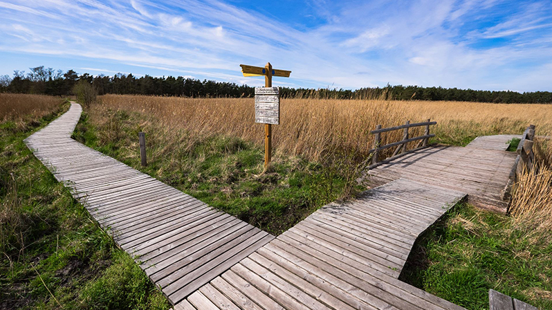 Rundwanderweg Darßer Ort