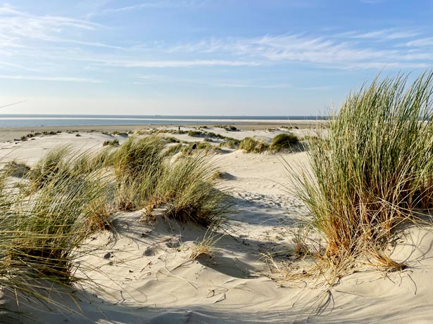 Erlebnis-Nordsee Bild 4