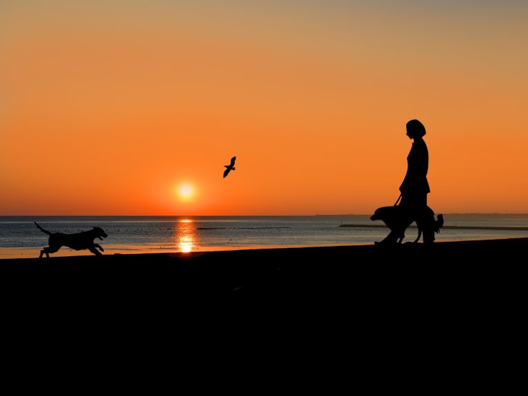 Familienspaziergang am Strand im Sonnenuntergang