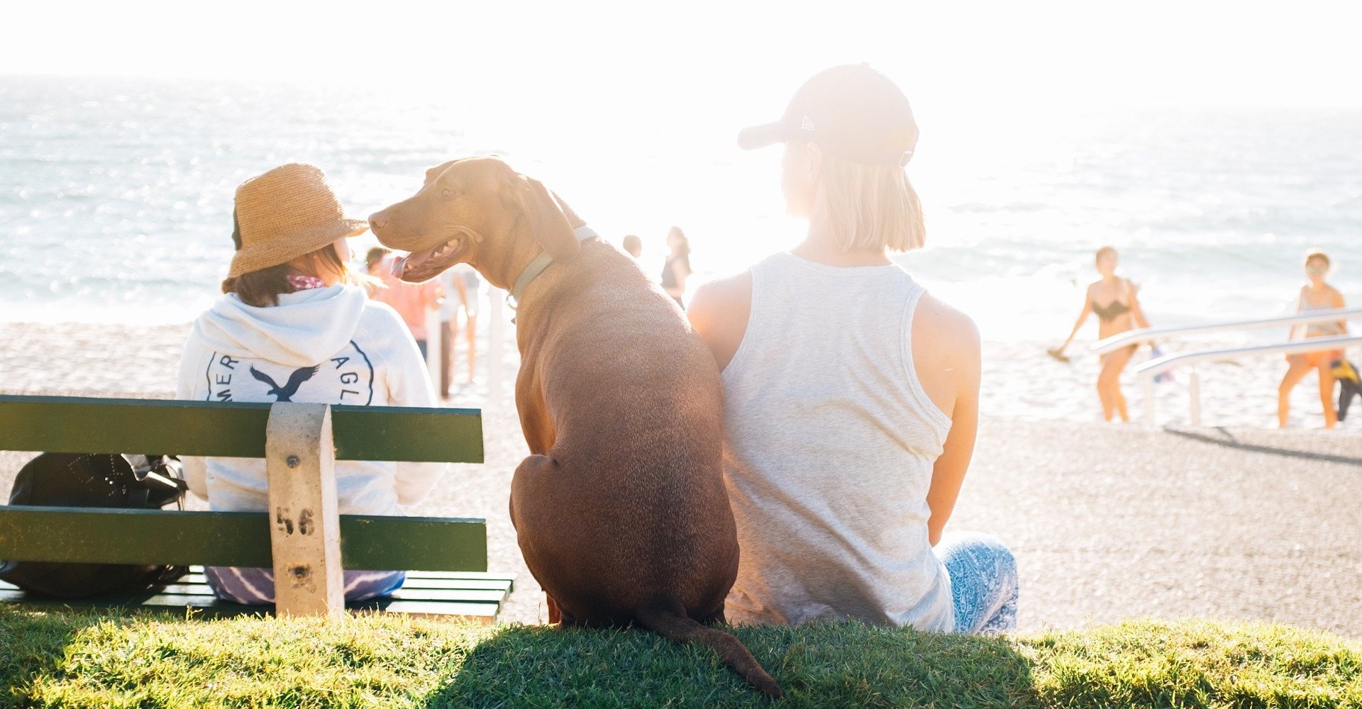 Ferienhaus mit Hund Ostsee