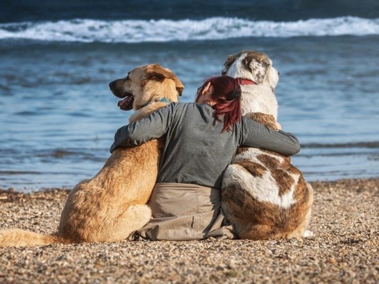 Zwei Hunde sitzen mit Frau am Ostseestrand