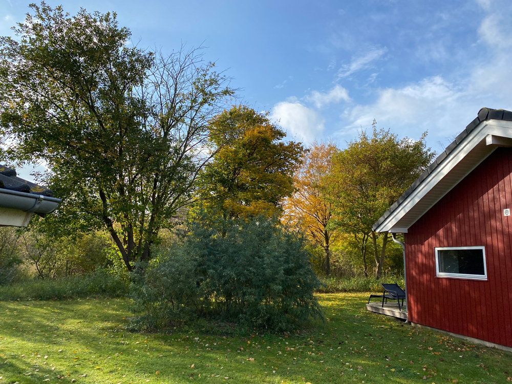 Gartenblick vom Ferienhaus im Holiday Vital Resort