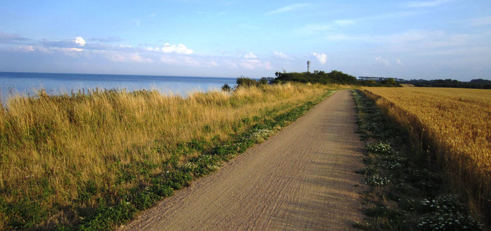 Strand