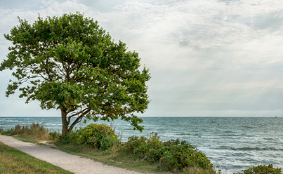 Kellenhusen