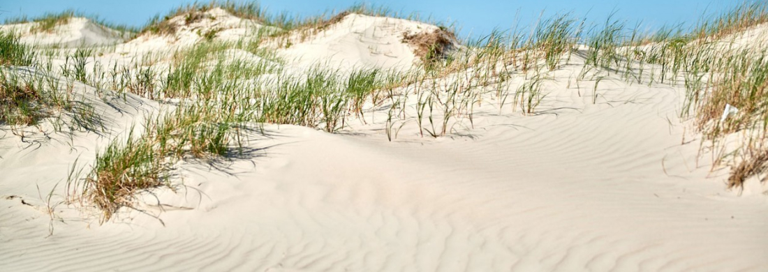 Stranddünen