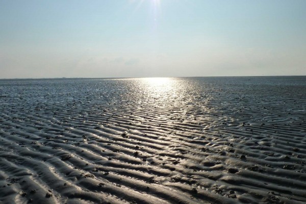 Meer