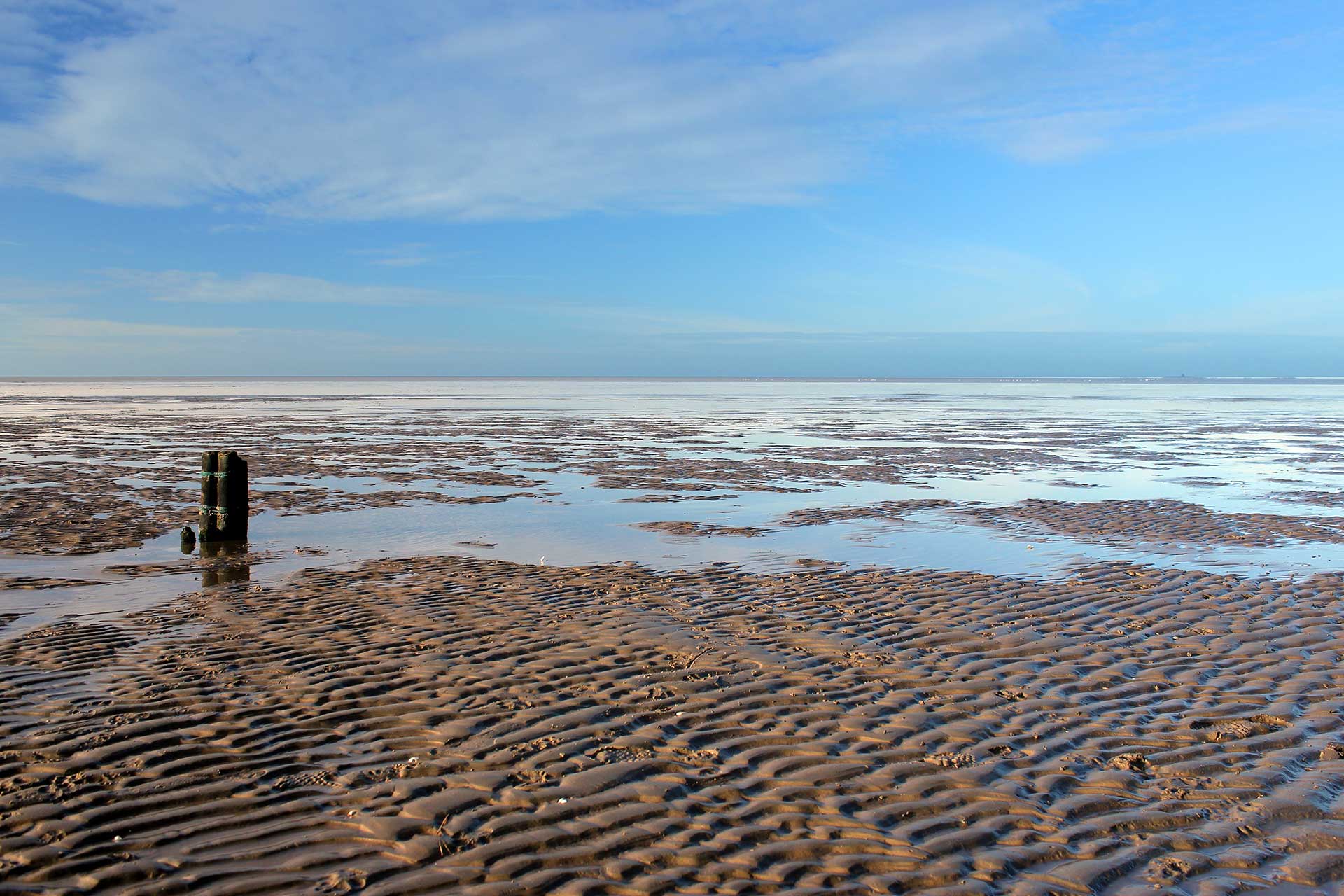  Weitsicht auf das Wattenmeer