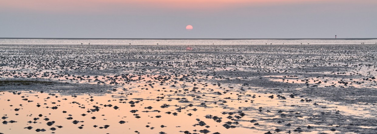Sonnenuntergang am Wattenmeer