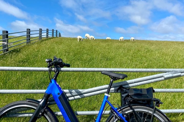 Fahrrad lehnt an Deichzaun