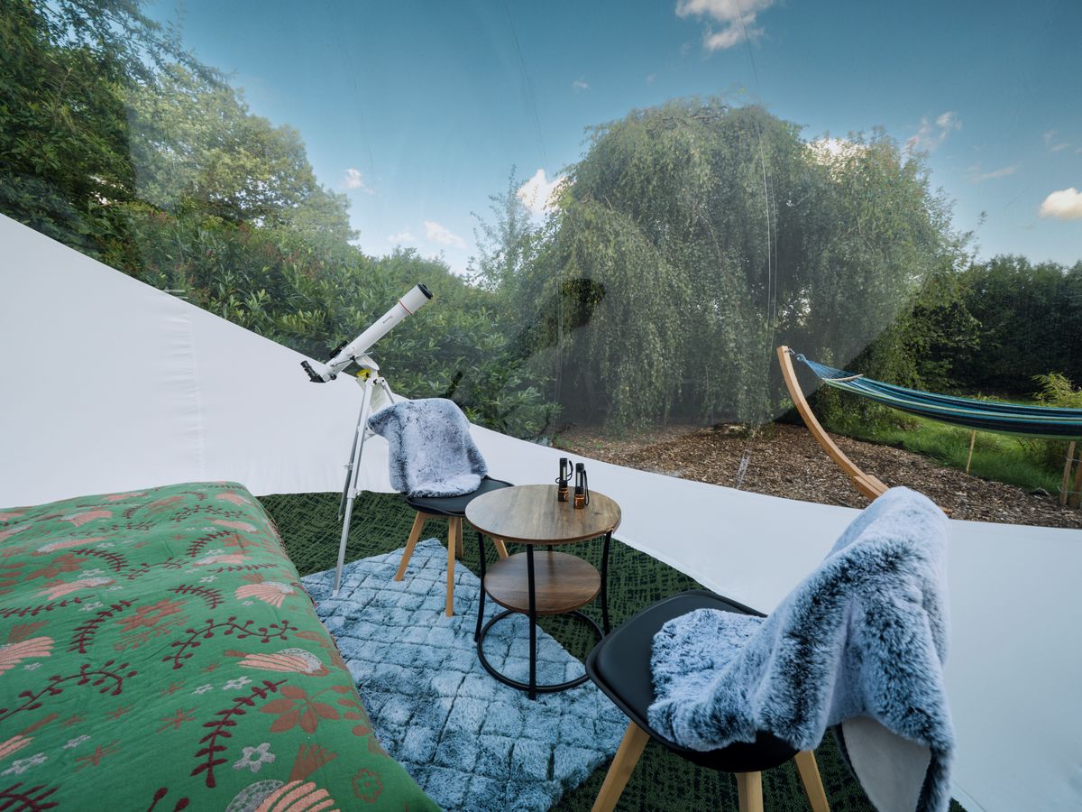 Innenansicht Bubbletent Sternenblick mit Bett, Teleskop und Blick ins Grüne