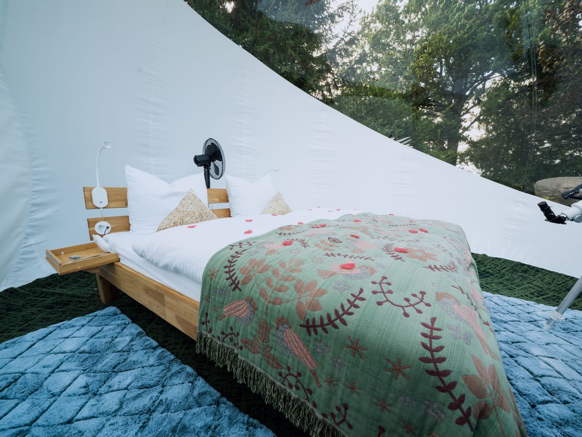 Innenansicht Bubbletent Sternennacht mit Doppelbett und Rosenblättern