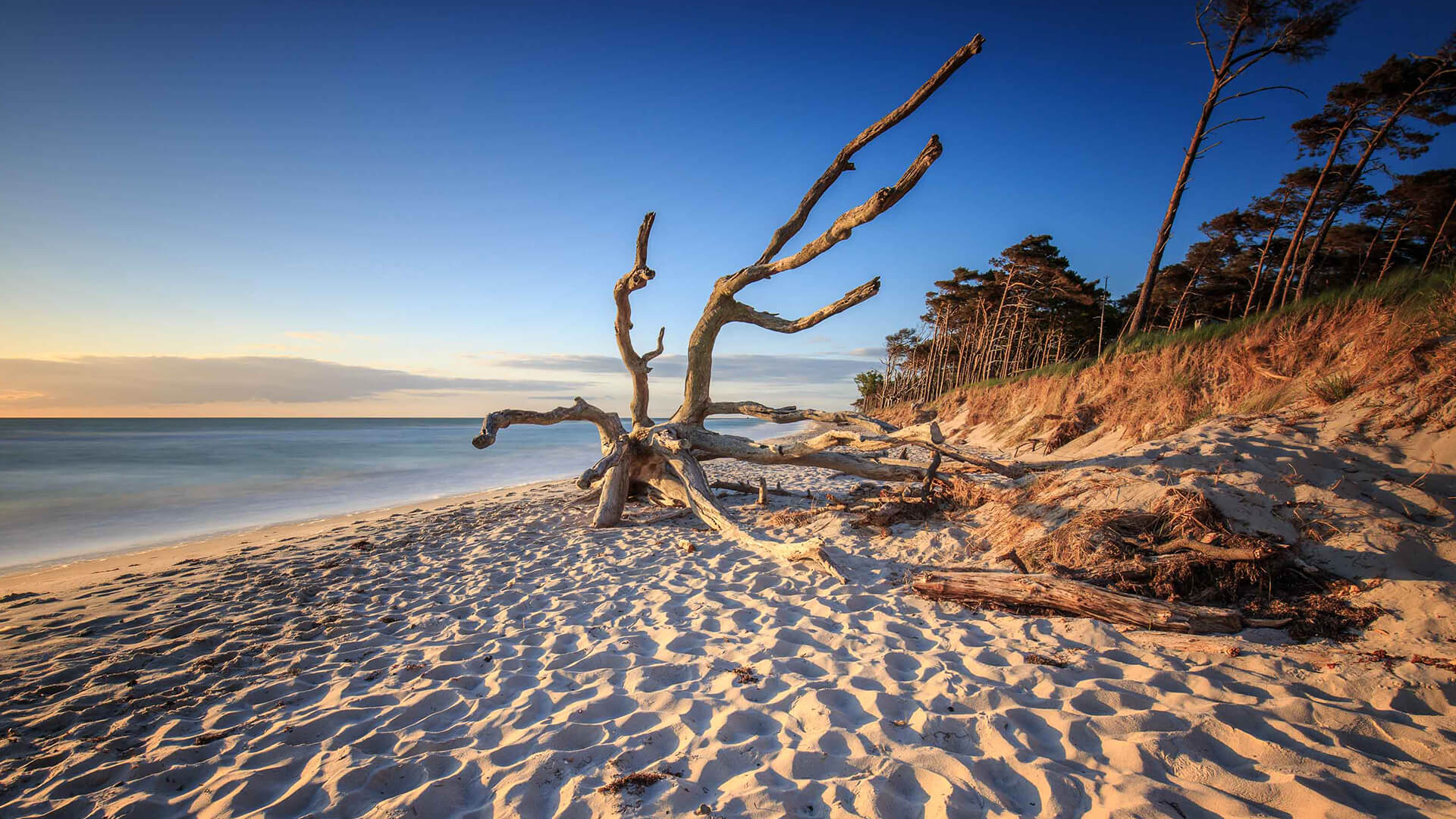 Strand