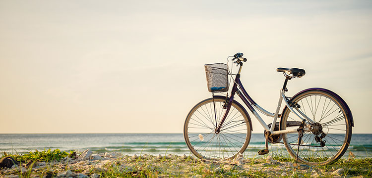 Sylt-ER - Entdecken Sie traumhafte Ferienwohnungen auf Sylt